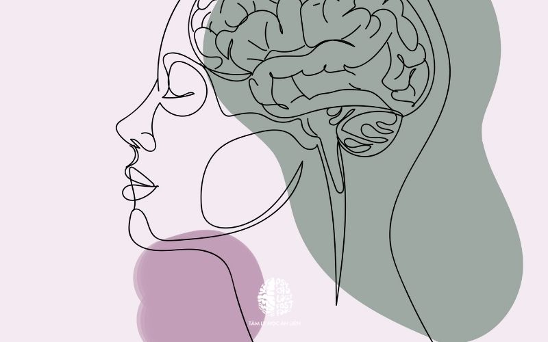 Minh họa hệ thần kinh giao cảm kích hoạt trong phản ứng stress và panic attack | 