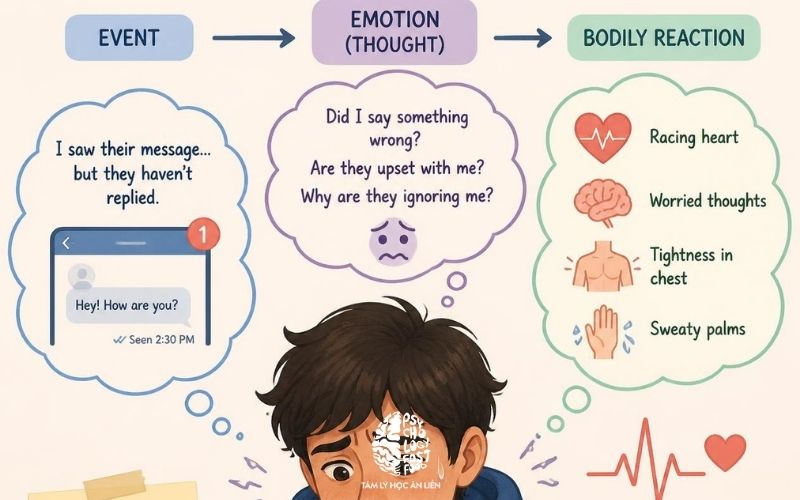  Cảm xúc là gì trong tâm lý học và cách cảm xúc hình thành sau khi con người đánh giá sự việc