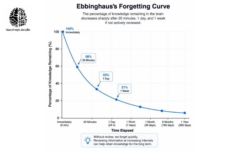 do thi duong cong lang quen hermann ebbinghaus